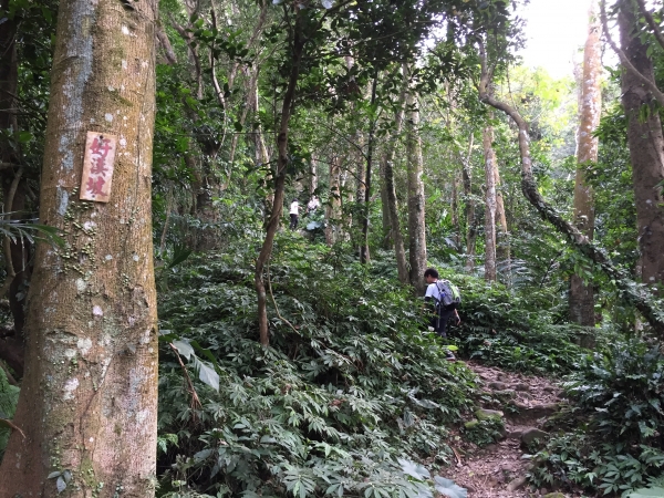 1051224 登桃園小百岳-石門山82112