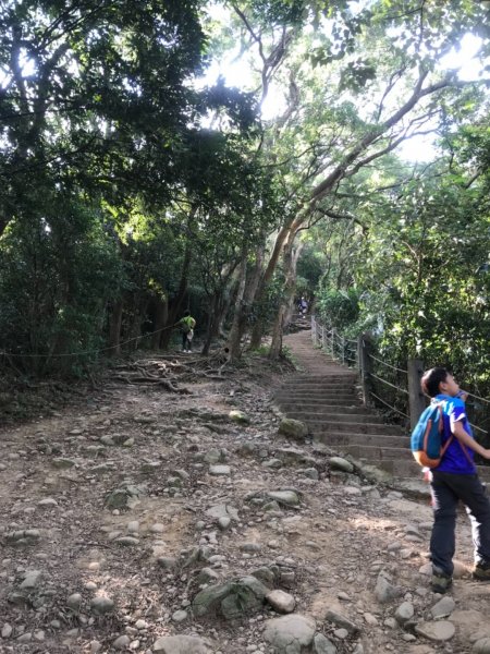 走飛鳳山3連峰吹吹九降風707531