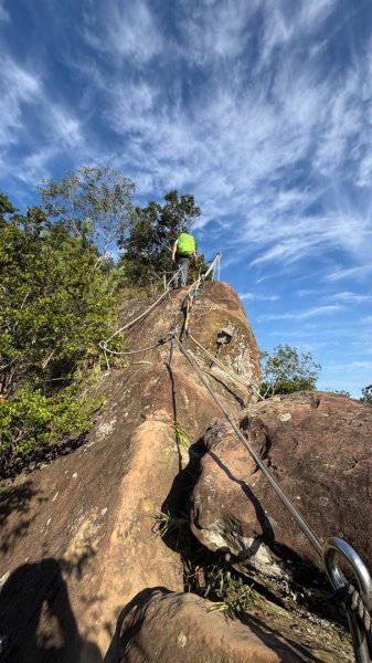 岩壁上的花、艷紅鹿子百合（12868981