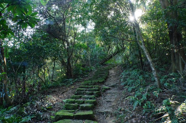 新北 三峽-土城 大暖尖山、火焰山、石門內尖山、十八羅漢岩、成福山3016619