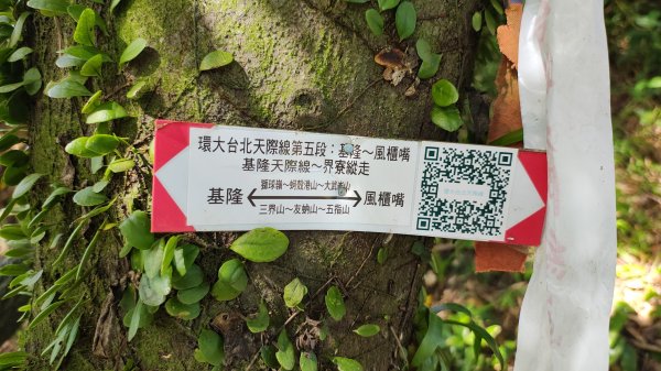 獅球嶺砲台2913276