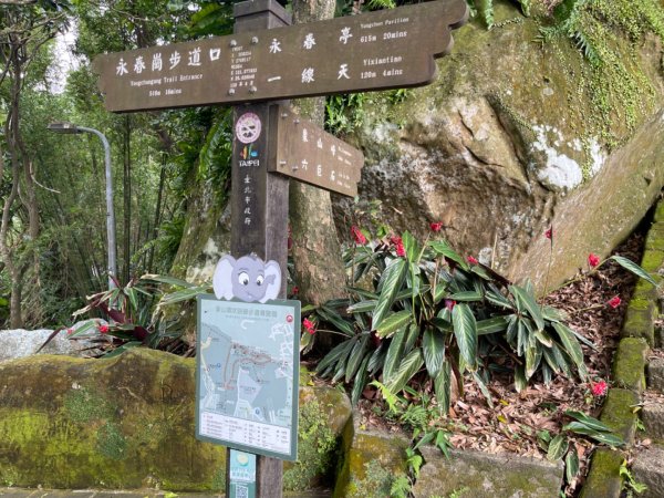 1140513象山峰-永春崗平台O繞2785594