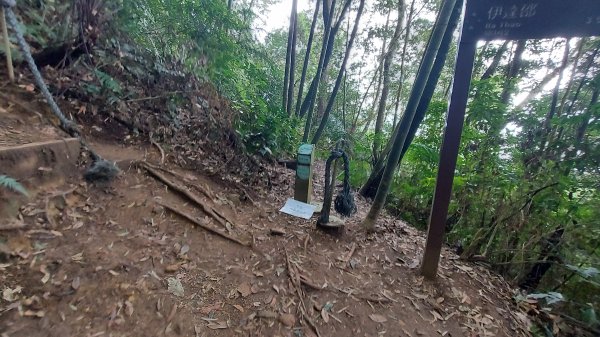 水社大山水社主峰新年二部曲1598820