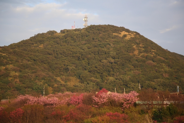 平菁街42巷11928