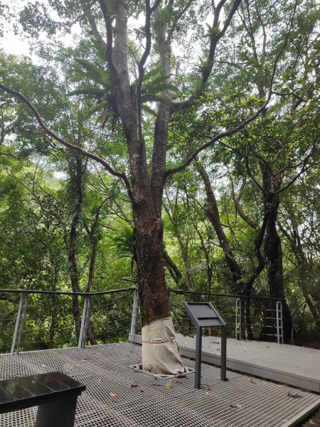 微笑山線：【五分山系】菁桐煤礦段、平溪小黃山段、望古瀑布段2841284