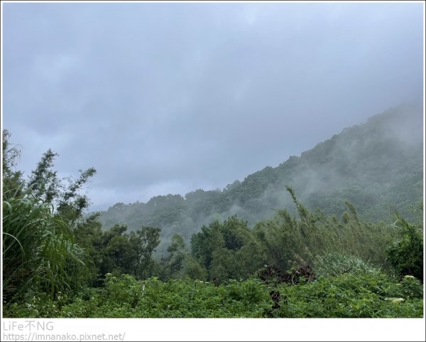 天母雨天健行1721590