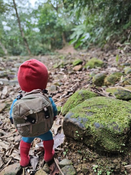 2023.12.27 大溪金面山2839318