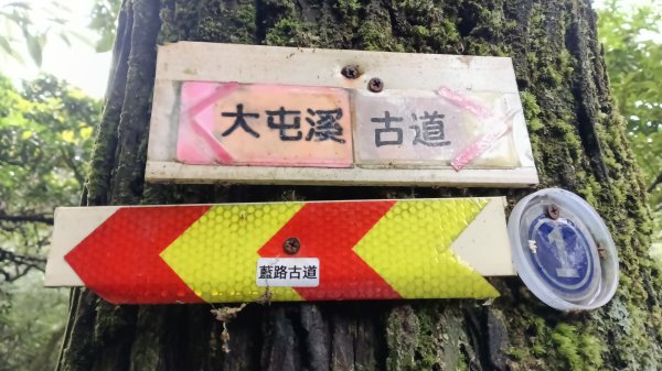 三芝區龜子山橋-三板橋-大屯溪古道(殘念)去回3090824