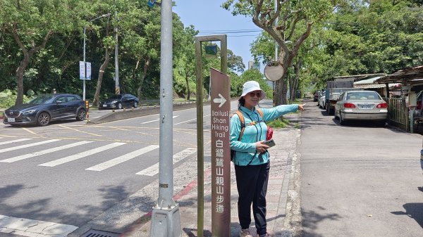 (姨婆趴趴走)第五十三集:台北內湖三山（白鷺鷥山、康樂山、明舉山）連走2774599