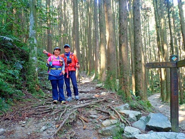 橫嶺山連走鳶嘴山2019/4/30575783