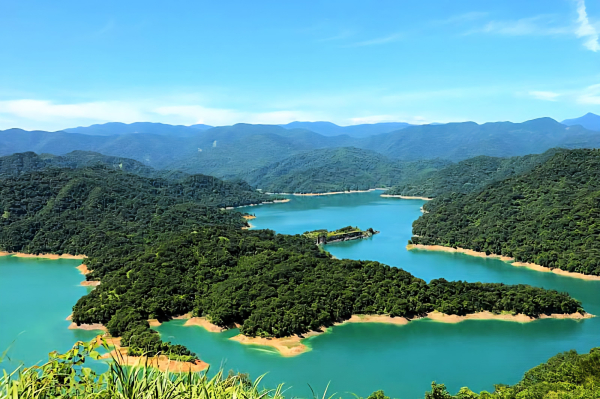萌萌巨鱷，石碇鱷魚島