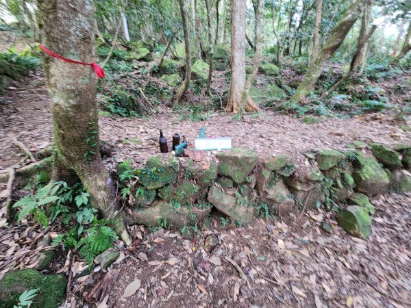 20260118騰龍山加里山O型2997501