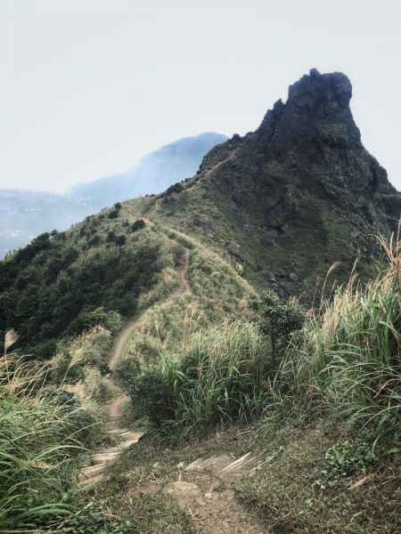 午後踏青：黃金洞-茶壺山275797