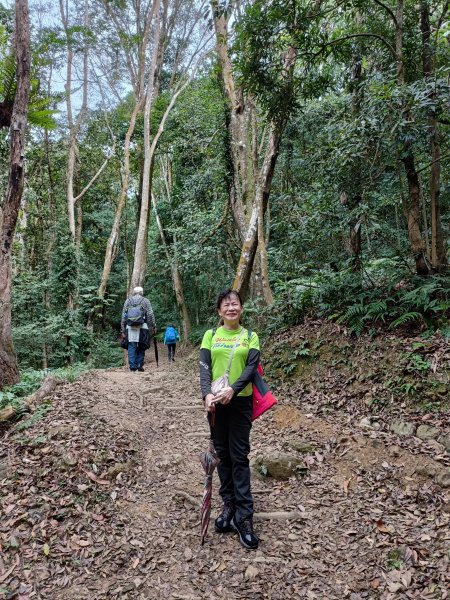 四訪苗栗的花果山-小百岳#037馬那邦山、雪霸國家公園管理處【小百岳集起來、苗栗-臺灣百大必訪步道】2394241