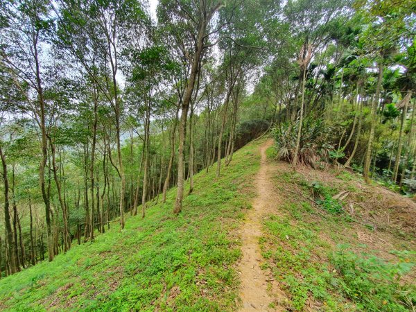 土城天上山，大暖尖山，猴洞，清水石門山，桐花公園，賞螢步道，承天禪寺，桃園福源山1645600