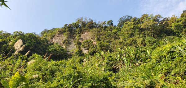 2021-04-11馬那邦山登山步道1346406