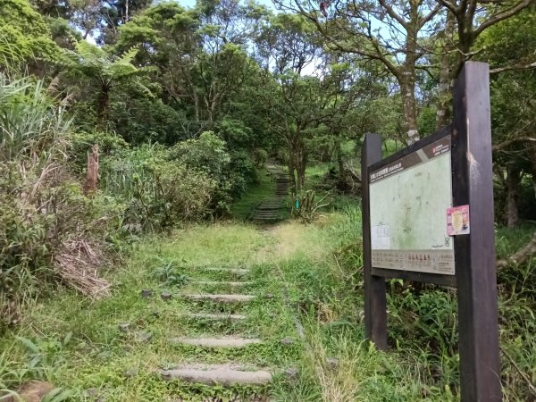 坪林區司公髻尾山+虎寮潭吊橋+粗石斛吊橋+大舌湖步道+漁光派出所2794279