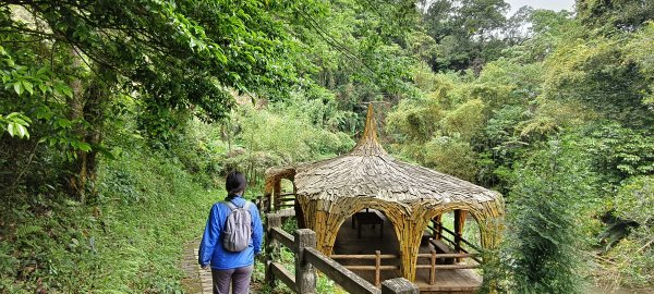 2025/04/13_大窩文史生態區步道2760229