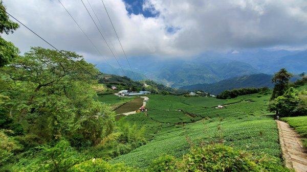 雲嘉大尖山 梨子腳山1727397