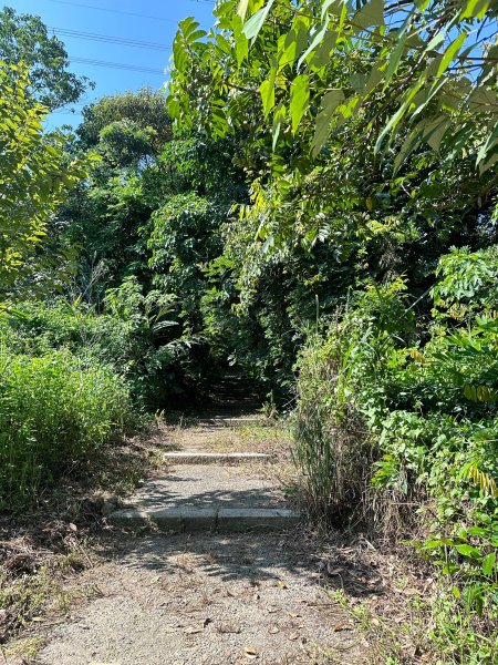 大分林山步道輕鬆走2558717