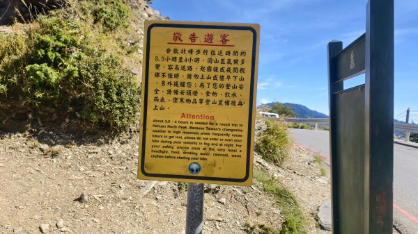 合歡山北峰 小溪營地 鷹角石 合歡北峰名樹2903396