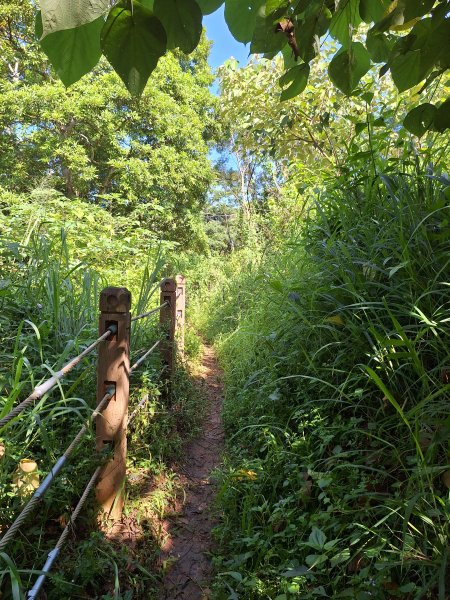 挑水古道+十八觀音步道+大峰巷步道+碧山古道O型11309152594626