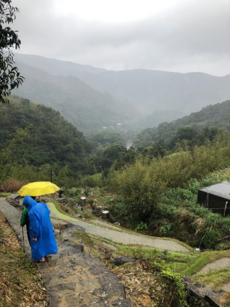 聖人瀑布、坪頂古圳步道、大崎頭步道1661882