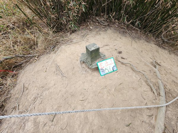 20260125口山步道2995137