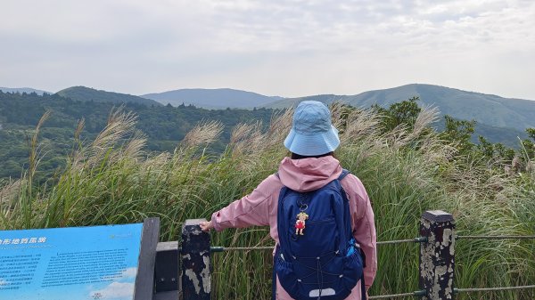 (姨婆趴趴走)第二十六集:攀登台北第一高峰七星山2321108