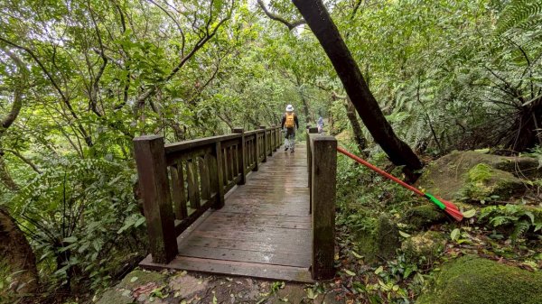 114.11.01旅聯網21週年活動之七星山-七星山東峰-七星公園-夢幻湖2928899