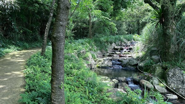 台北大縱走第二段2786940