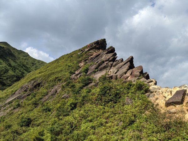 劍龍稜無耳茶壺山1468081