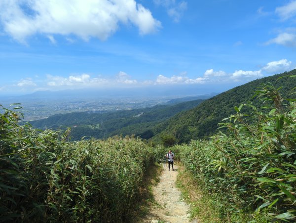 2024.07.20－抹茶山＆三角崙山，再次探訪2555357