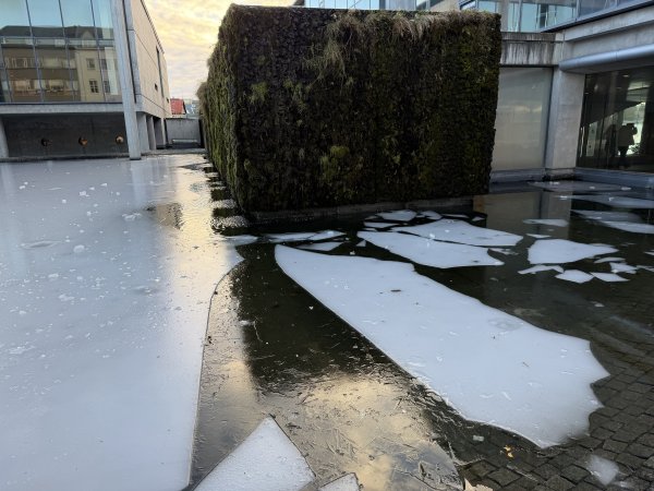 [紐約馬之行-21] 2025_1104 托寧湖(Tjörnin)2946336