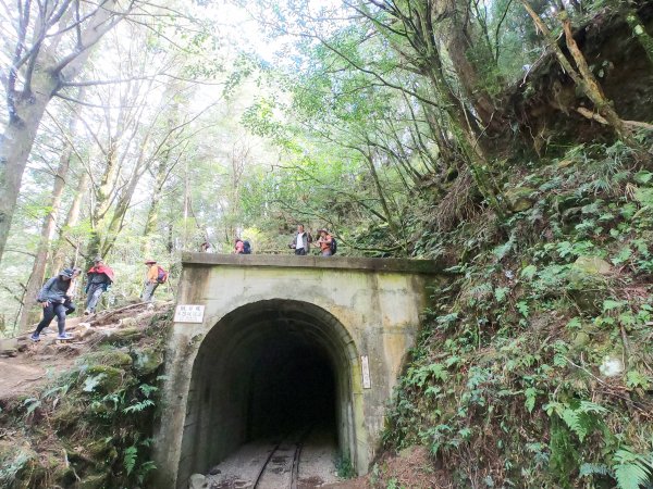 2023尋訪消失的眠月線聚焦失落沉寂的百年鐵道之旅2109660