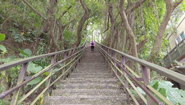 (姨婆趴趴走)第十九集:台北四獸山連線縱走2251710