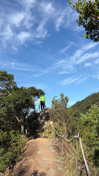 岩壁上的花、艷紅鹿子百合（12868982