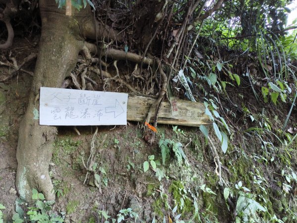[玉山尋寶任務-07/12] 2025_0824 八通關雲龍瀑布步道2870458