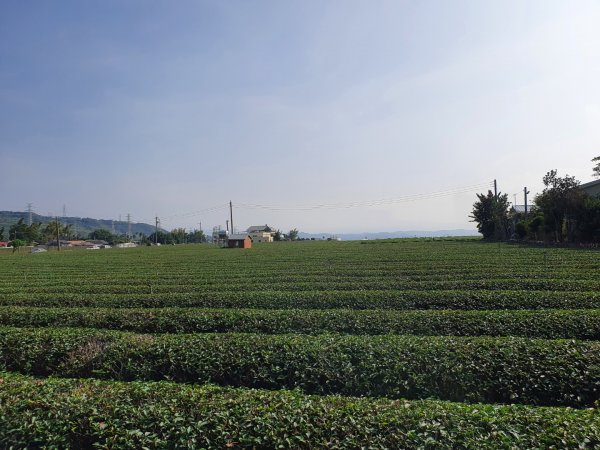 清水岩中央嶺造林步道1188952