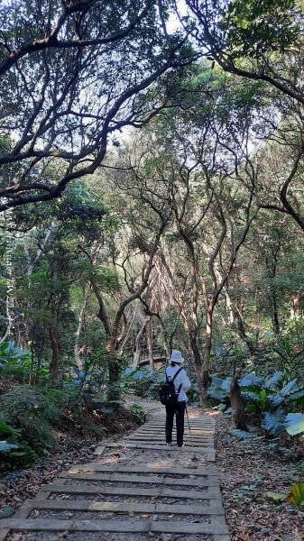 《彰化》卦山少林｜花壇西來園（銀行山）登山步道202412012657899