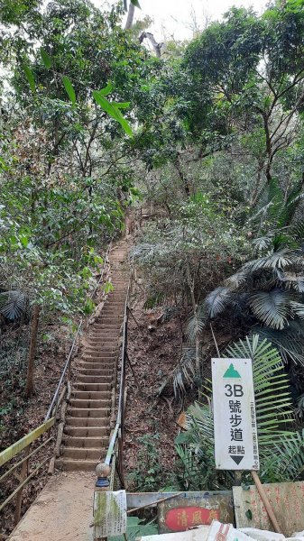 《台中》三崁頂健康步道(北坑123步道)202103061297661