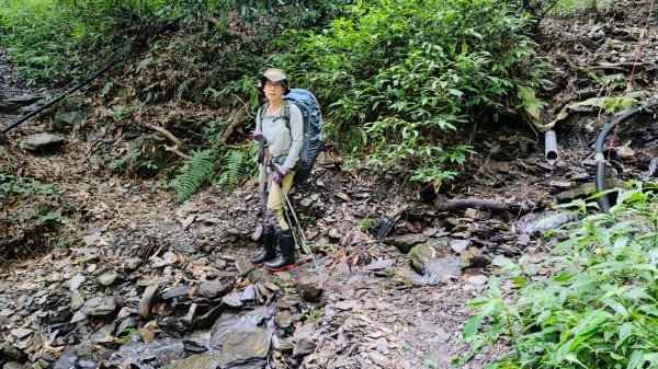 干卓萬群峰五天1141001~052906185