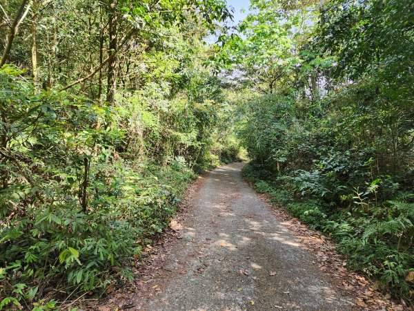 20230416大坑步道2~5+石苓湖山2175635