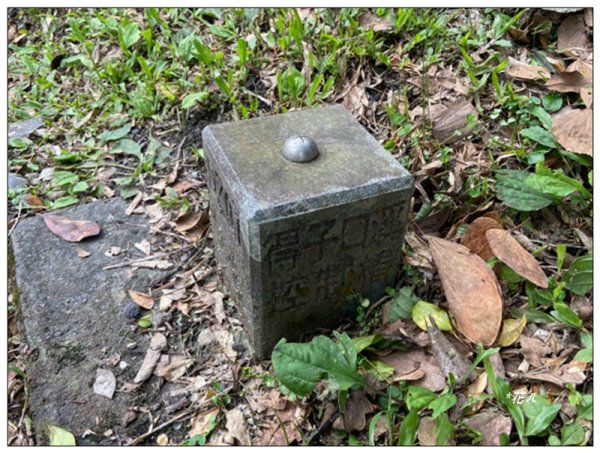 聖母峰、三角崙山 (抹茶山) 連走2802248