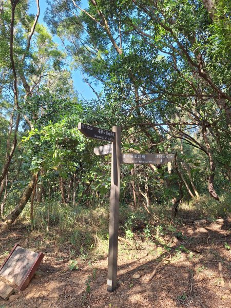 大肚環保公園步道+大尖山+萬里長城步道萬里長城步道202512072956511