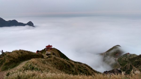 11月的茶壺山，海、雲海、芒花海