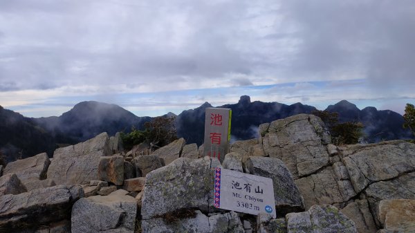 武陵四秀成兩袖(一秀加一宿)1142496