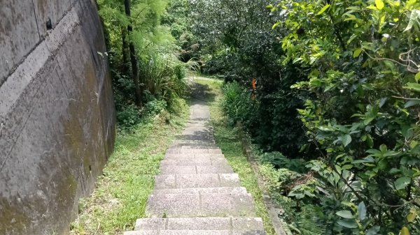 瑞芳區琉榔路觀光步道-小粗坑古道(小粗坑山+粗坑口山)3053287