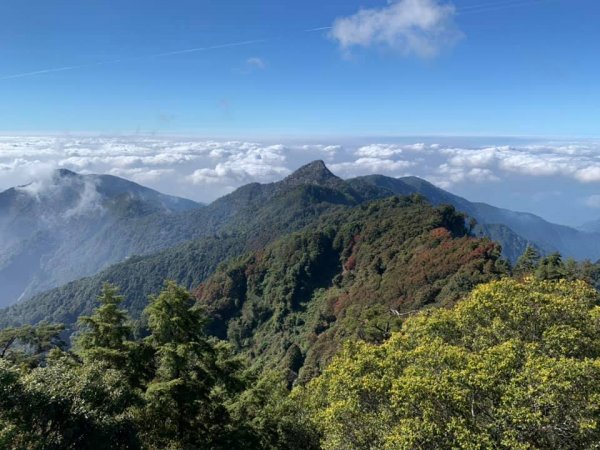 稍來楓情（小白岳）封面