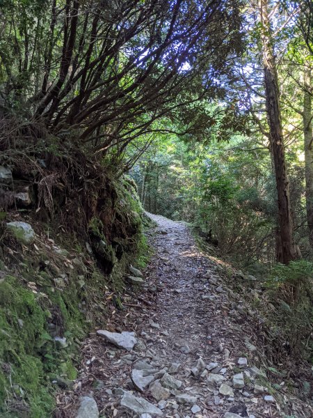 榛山登山步道1710406